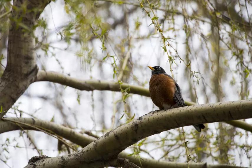 佳能80d摄影怎么样,佳能80d保留更多细节