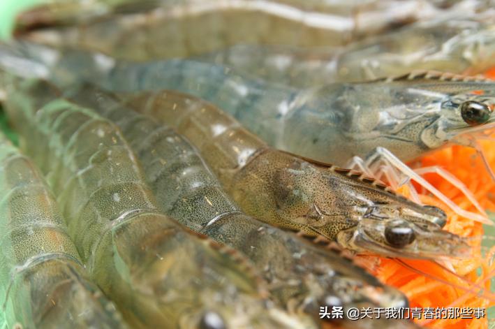 煮虾冷水下锅还是喷水,煮虾冷水煮还是热水煮