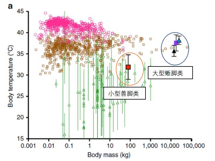恐龙灭绝时期的冷暖情况,恐龙在6500万年后是否完全死亡