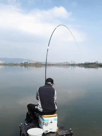 钓草鱼的最佳饵料比例,钓草鱼技巧与多种饵料选择