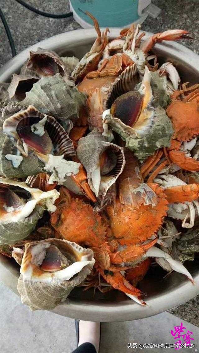 人间六月天，来海岛许一场似水流年——唐山乐亭韩姐农家院