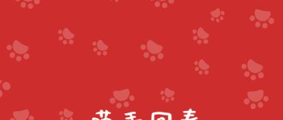 猫也有艾滋，不传人还可能不发病，关于“猫艾滋”你了解多少？