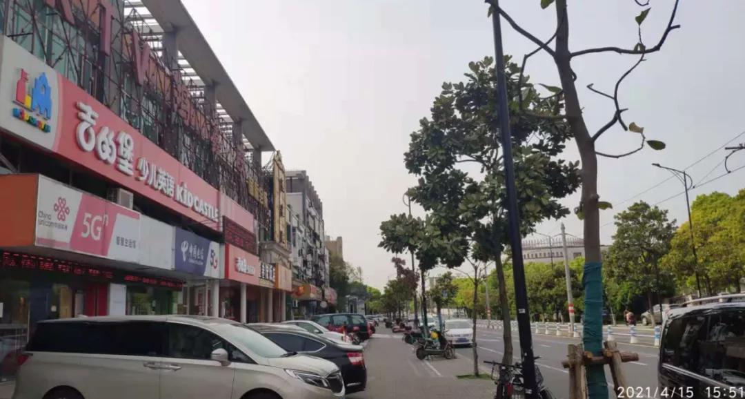 上海这个板块未来值得期待,上海的多肉品种