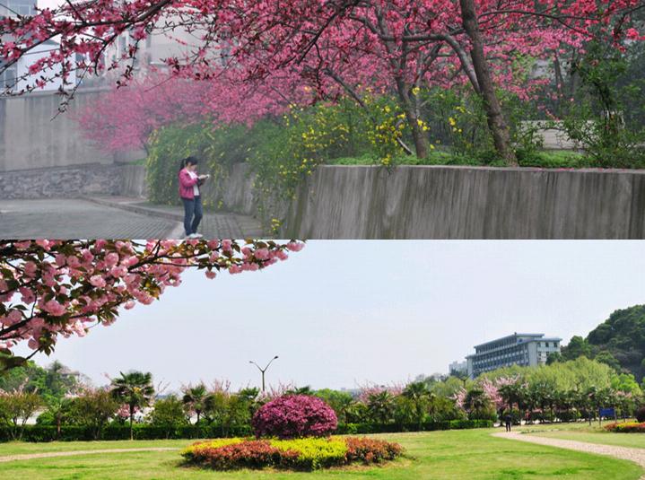 湖北师范大学，一所藏在童年记忆里的宝藏大学