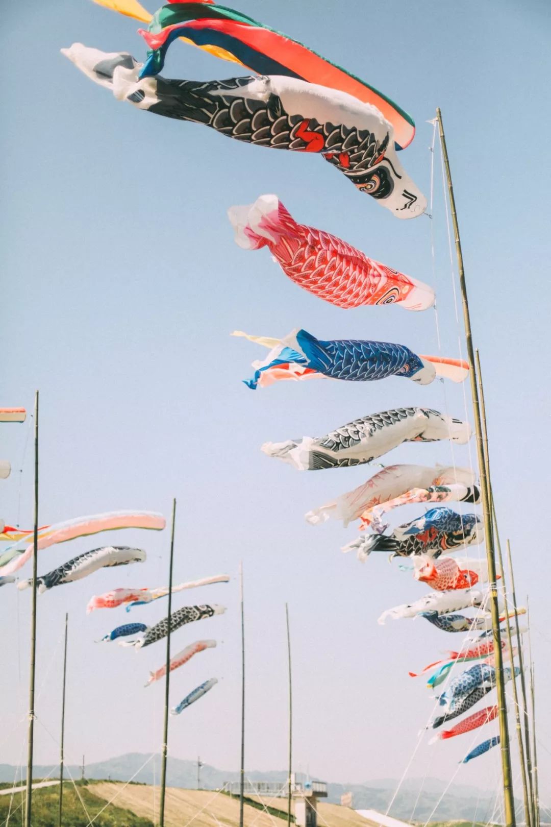 800元双人来回的机票，可以飞去国外哪里？