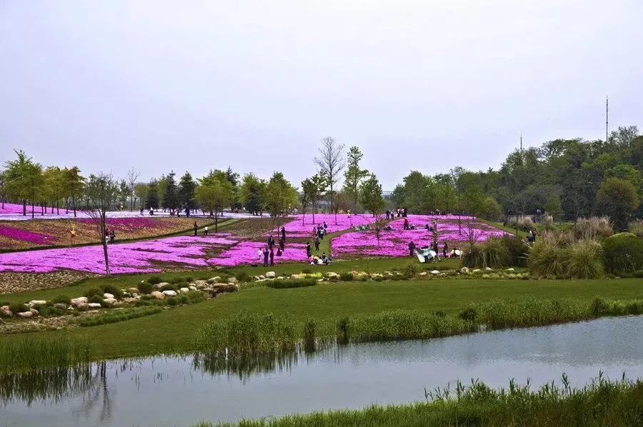 上海地铁沿线景点一日游,上海地铁11号线上海赛车场站