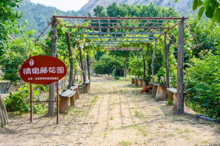 瀹朵埂娓歌,瀹朵埂閭唽