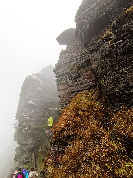 雨中的梵净山景色,烟雨梵净山