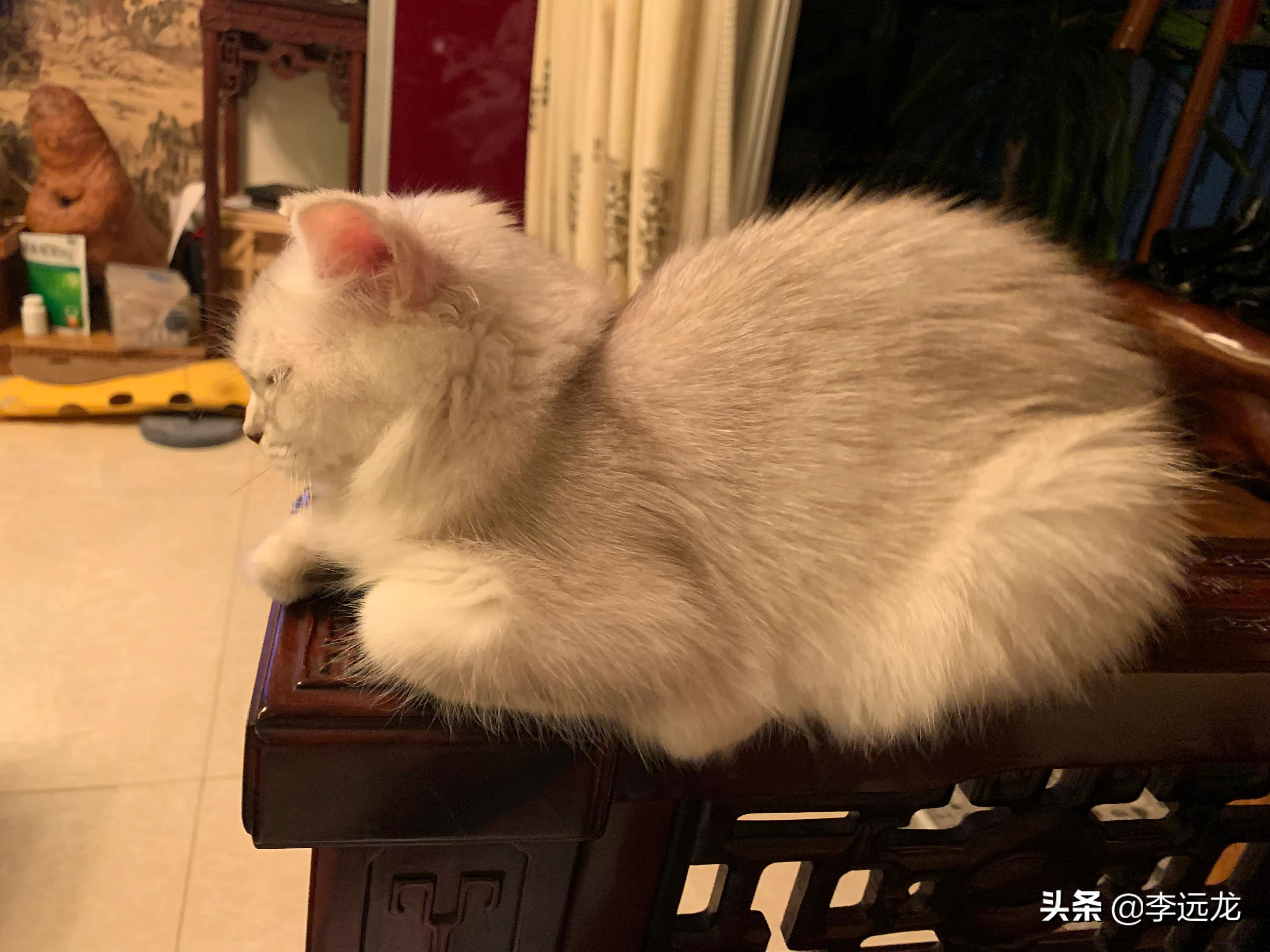 闪送是从什么时候开始的,闪送有什么套路么