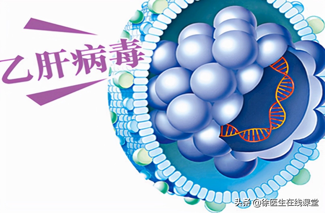 慢性乙肝会引起转氨酶高吗,慢性乙肝转氨酶高怎么回事