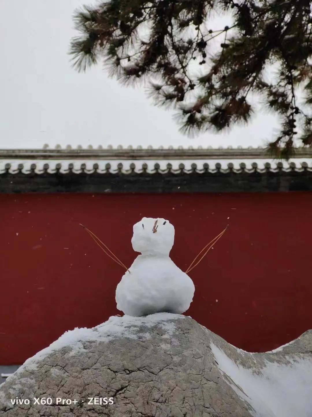 我和14万人一起，参与了2021年最盛大的一场许愿