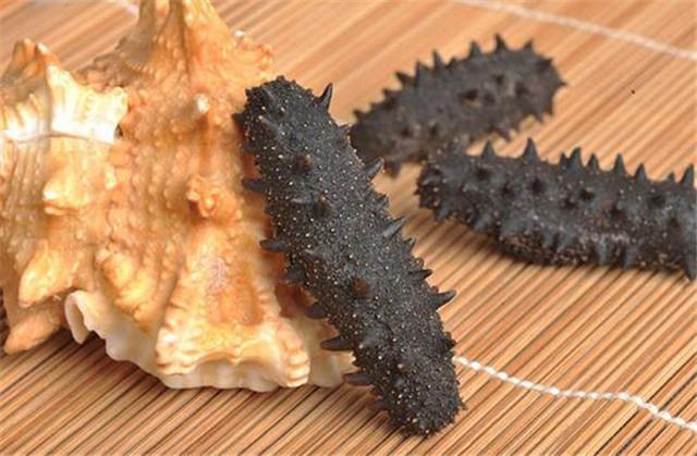 海产八珍即食海参价格表图,海产八珍之一的响螺怎么样