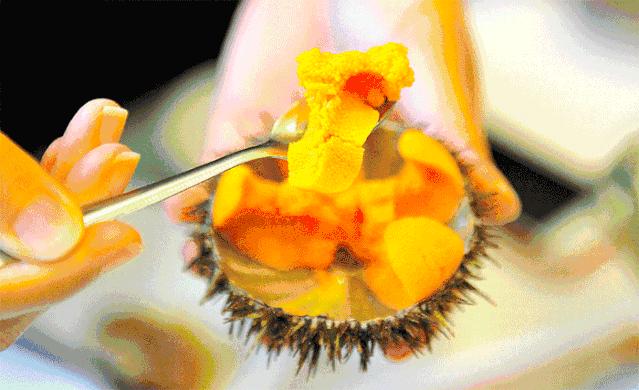 珠海东澳岛最高景点,珠海东澳旅游度假村