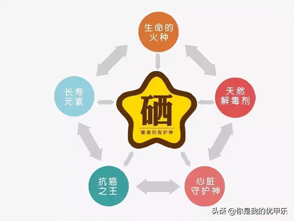 甲状腺回声不均匀促甲状腺激素高,甲状腺彩超甲状腺弥漫性回声改变