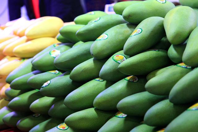 去海南岛旅游都带什么,海南岛旅游必买的东西