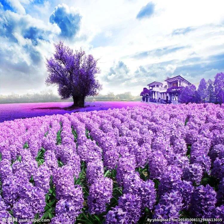 深切缅怀老宗师,缅怀足球教练