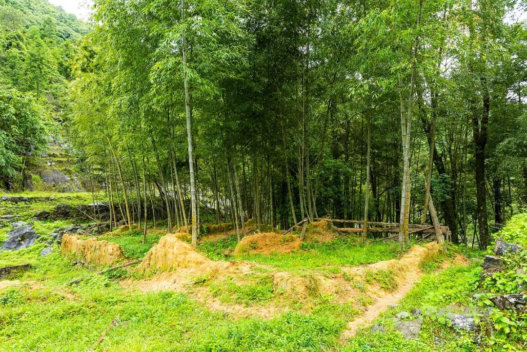 徒步穿越秦岭无人区,徒步穿越喀斯特森林