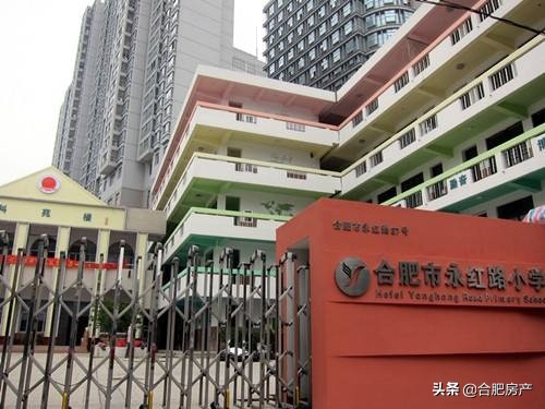 合肥性价比最高的小学学区房,合肥市十大中小学开学时间