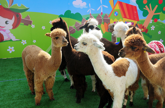 杭州必打卡景点人气榜,杭州旅游必须去的十大景点推荐