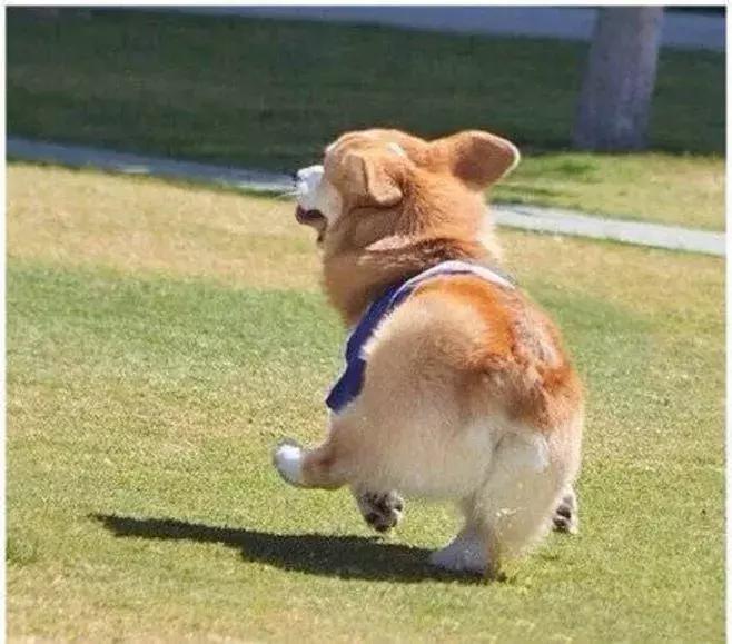 只要不停产就会无限回购的护肤品,只要不断货就一直卖的水乳