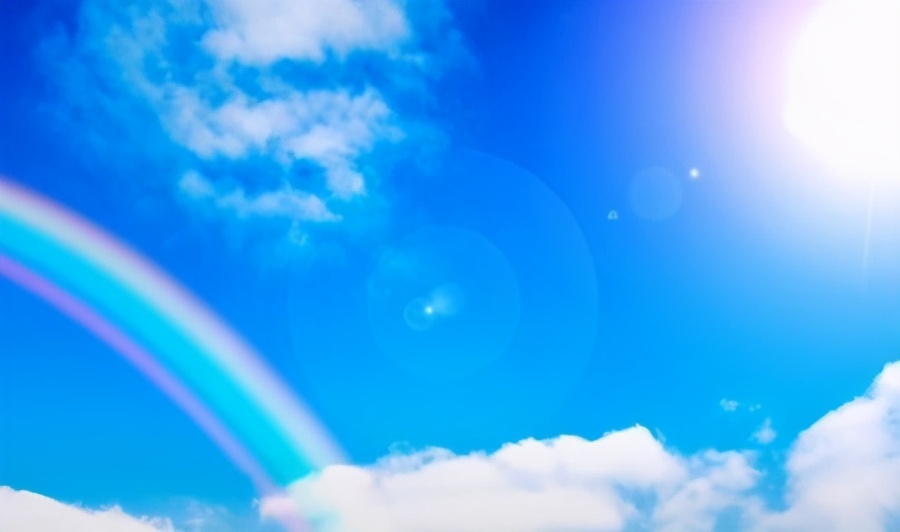 金毛适合吃的鱼类,金毛吃鱼油还是三文鱼