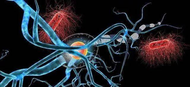 糖尿病手脚麻木按摩法视频,治糖尿病手脚麻木中药方