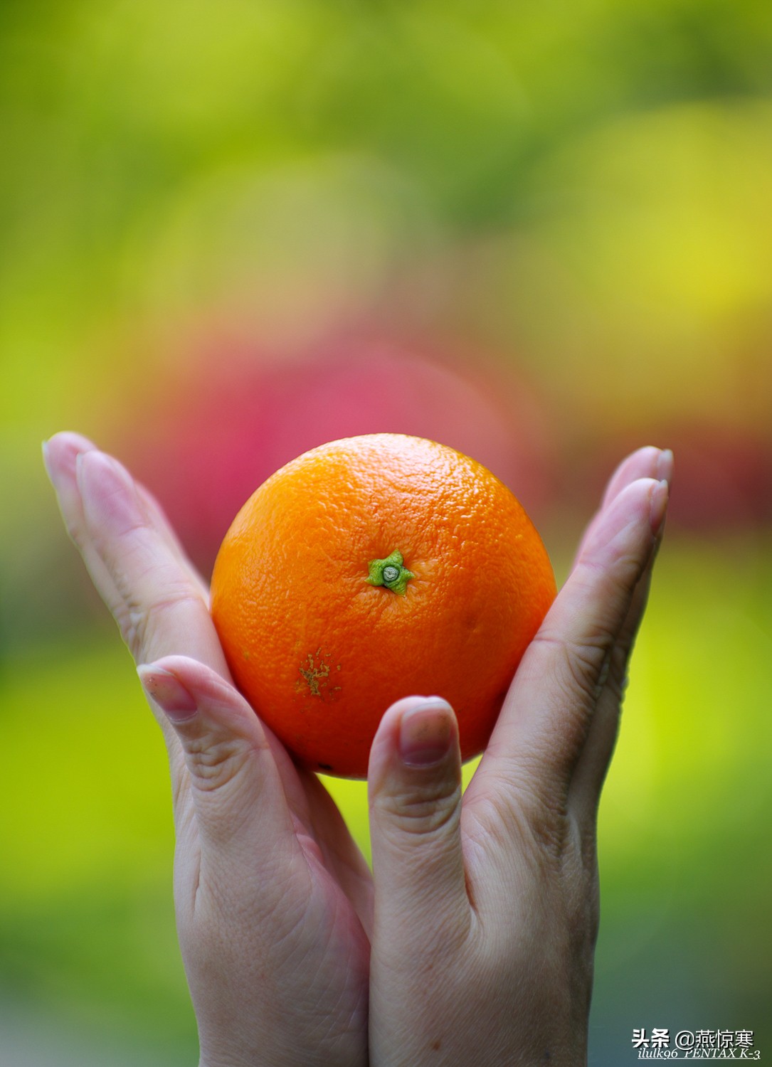 说说你用的相机,理光镜头和宾得通用吗