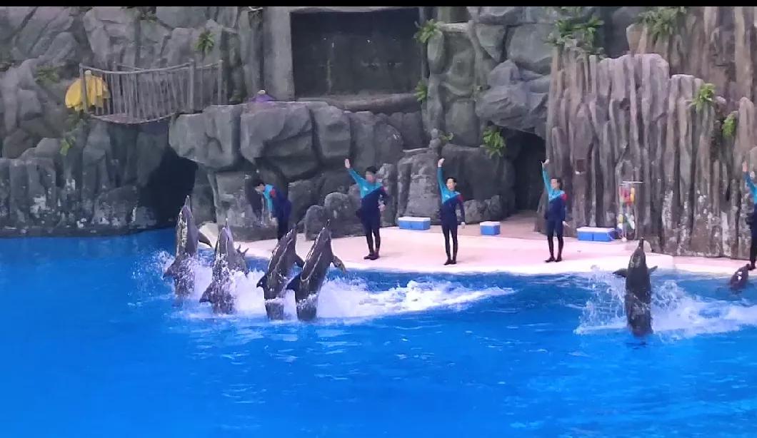 珠海长隆海洋王国二日游攻略,珠海长隆海洋王国一日游详细攻略