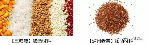 九龙醉38度浓香型白酒,五星级白酒浓香型52度