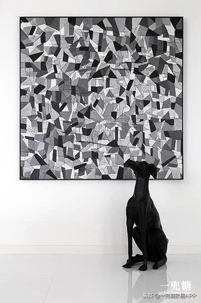 丁克夫妻小户型房子,丁克夫妻房子设计