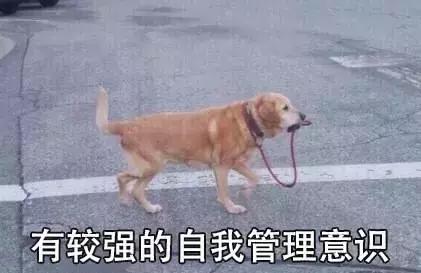 周立波和黄海波的对联,周立波黄海波吴秀波刘强东