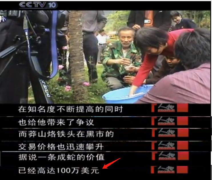 1996年莽山烙铁头蛇,莽山烙铁头被盗事件