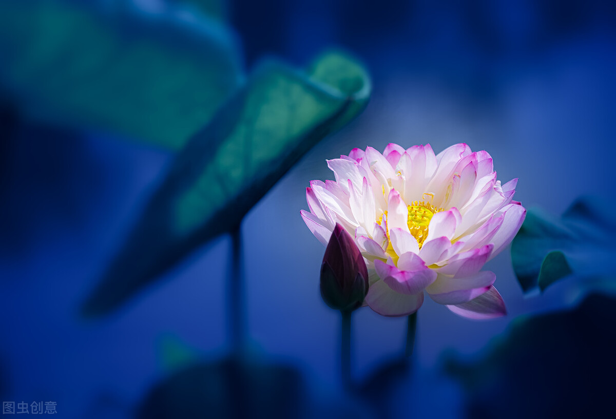 伤害最深的人往往是自己最亲的人,最亲的人让我心寒了怎么办