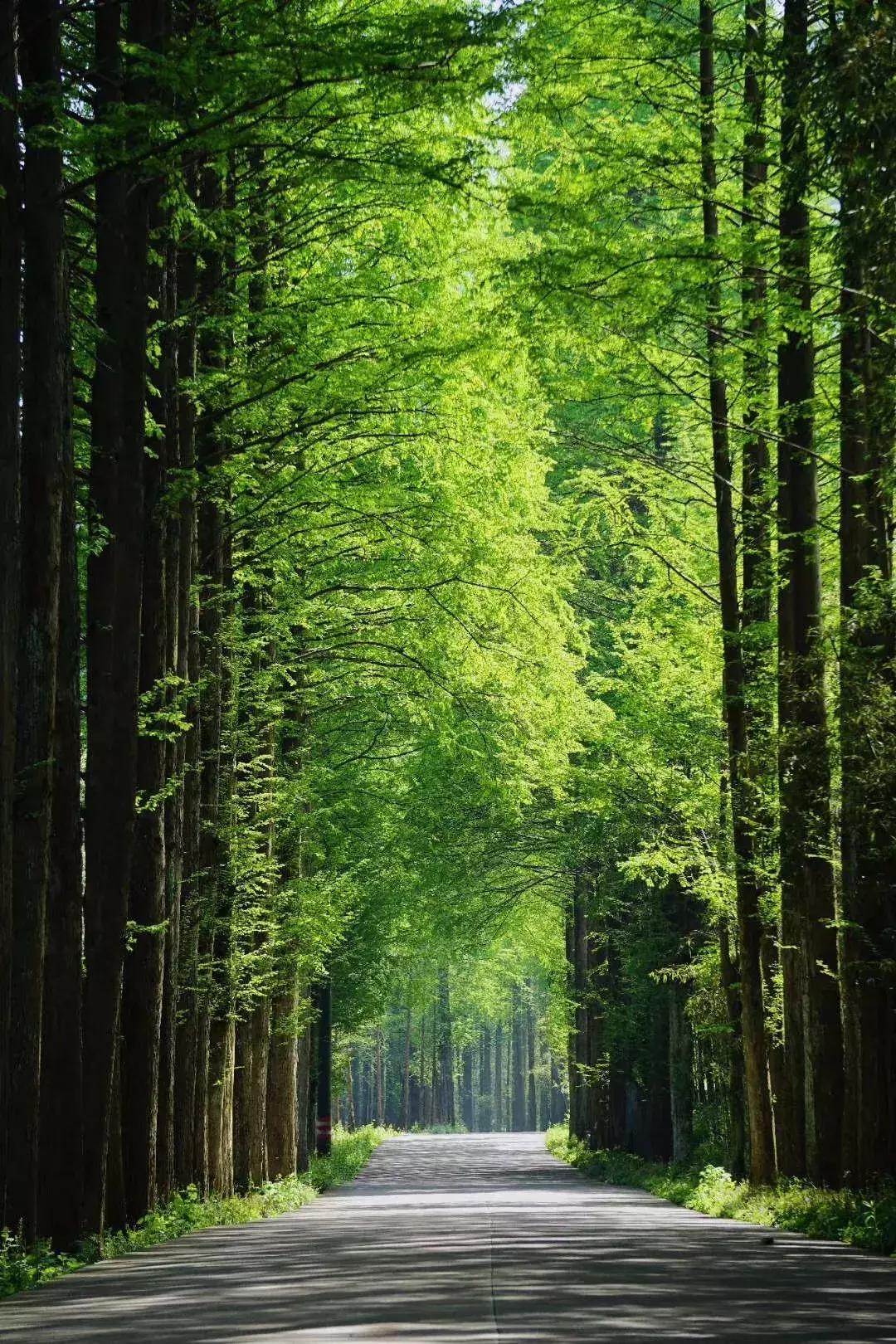 399元无边泳池,无边泳池抖音优惠团购