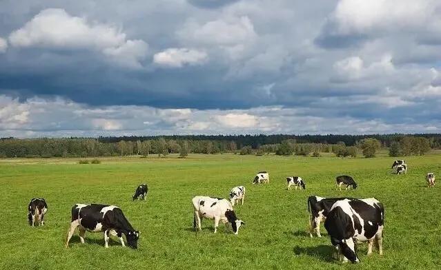 最近哪个牌子的奶粉超标,哪个牌子的奶粉对孩子有害