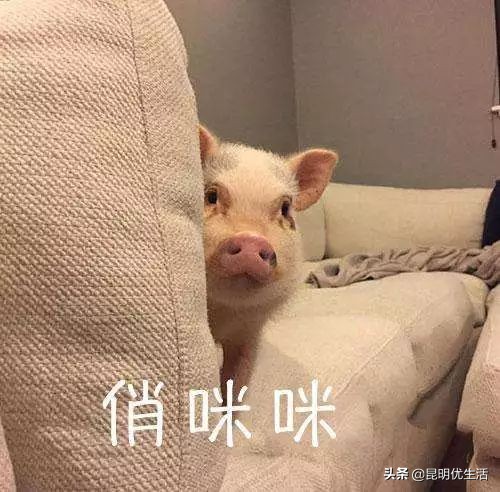 90后工资5000元副业20000元,90后月薪3000的上班日常