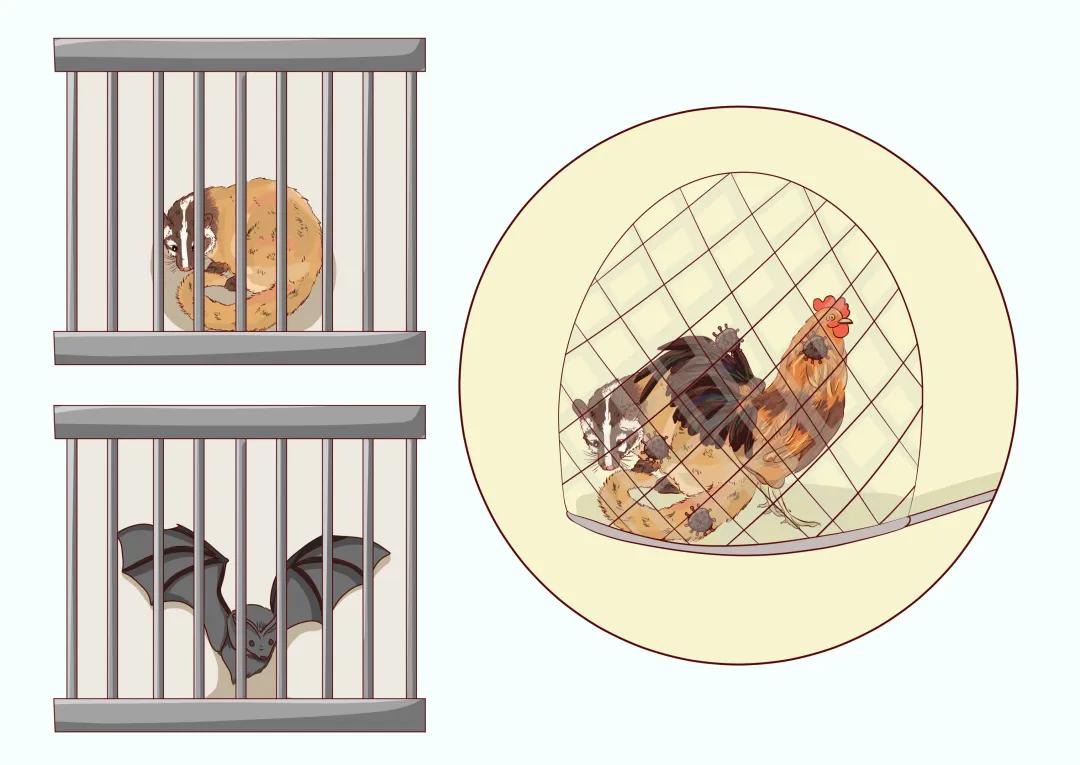 疫情防护必看知识大全,疫情防控相关法律法规