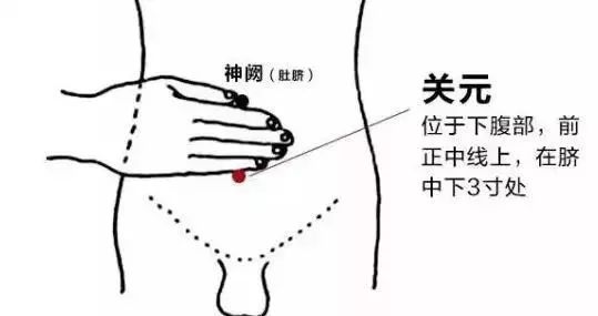 养生必先养气的好处,养生必先养哪里