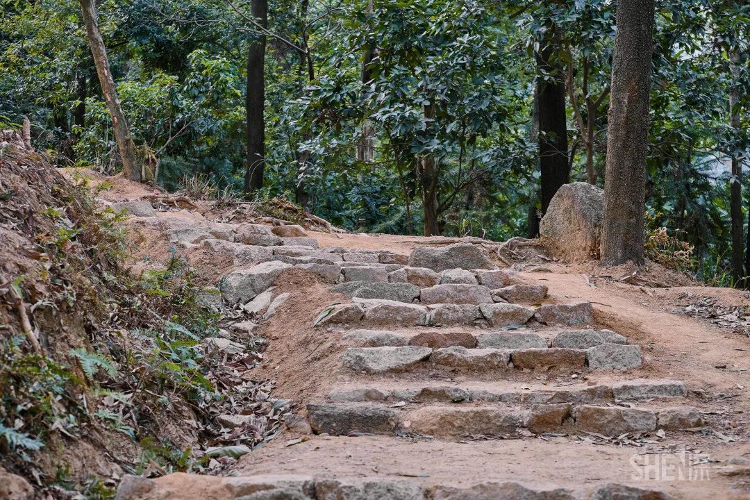 深圳商场爆满,深圳为什么商场那么多
