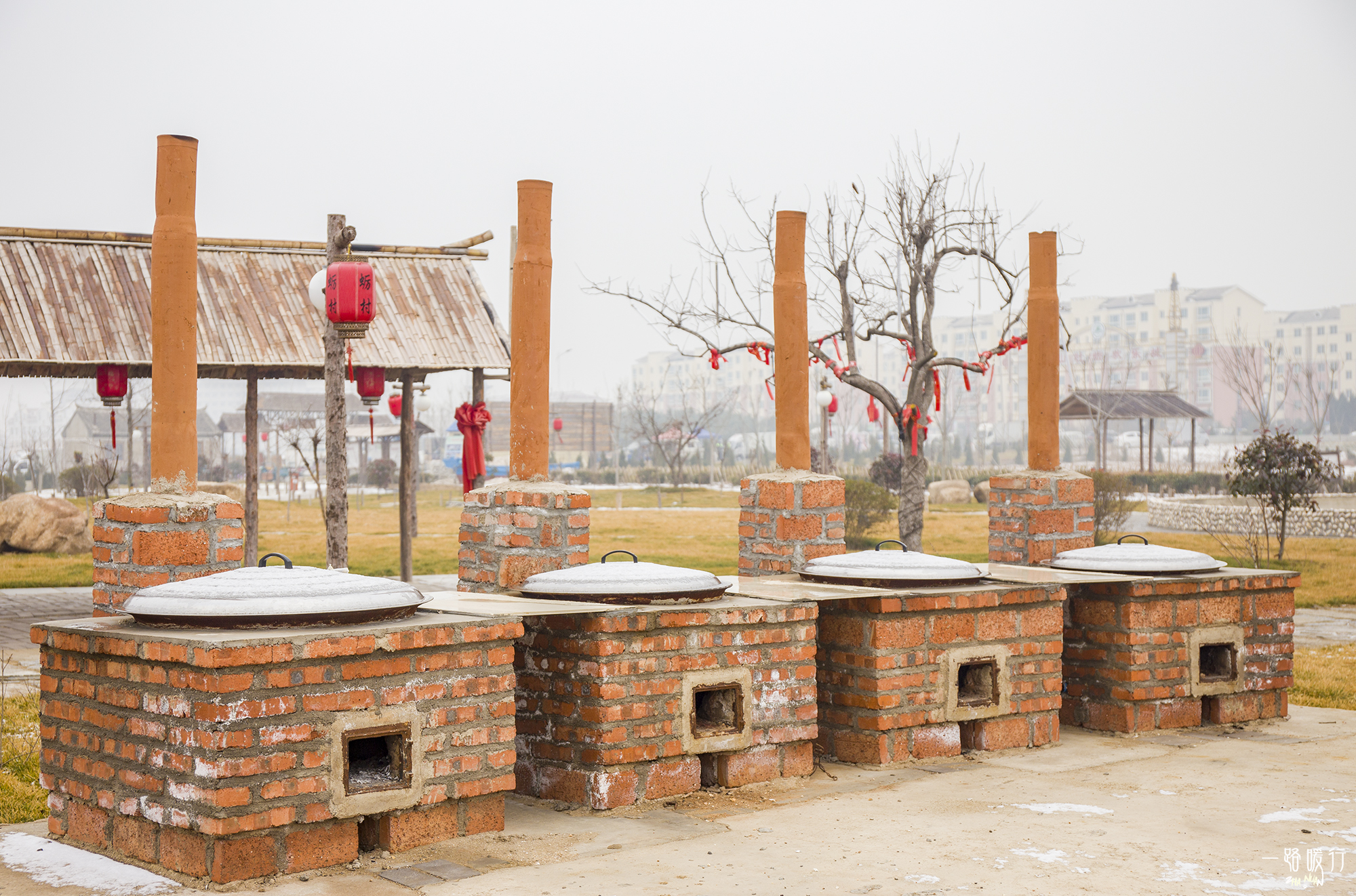 野生牡蛎王,海边野生牡蛎