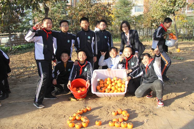 昌乐齐都实验学校：举行第四届“柿子熟了”采摘节活动