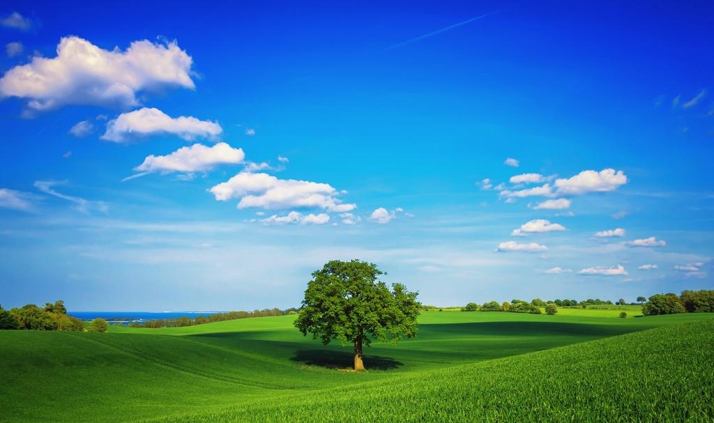 恭喜你发财经典语录,恭喜你发财了语录