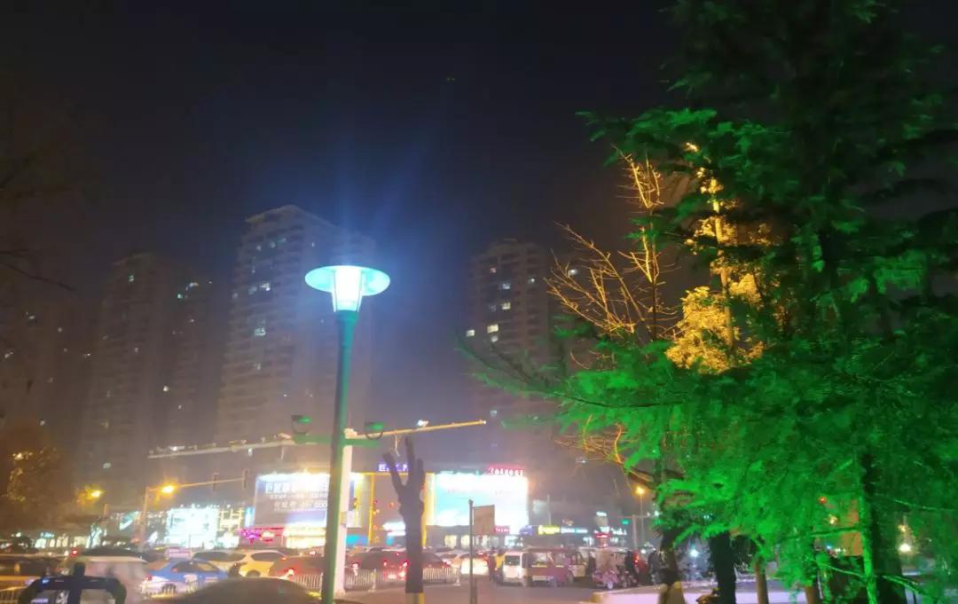 优美文章加感悟,经典美文摘抄梦想