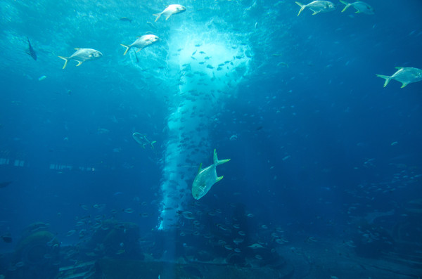 三亚度假公寓一览表,三亚度假型酒店五星级