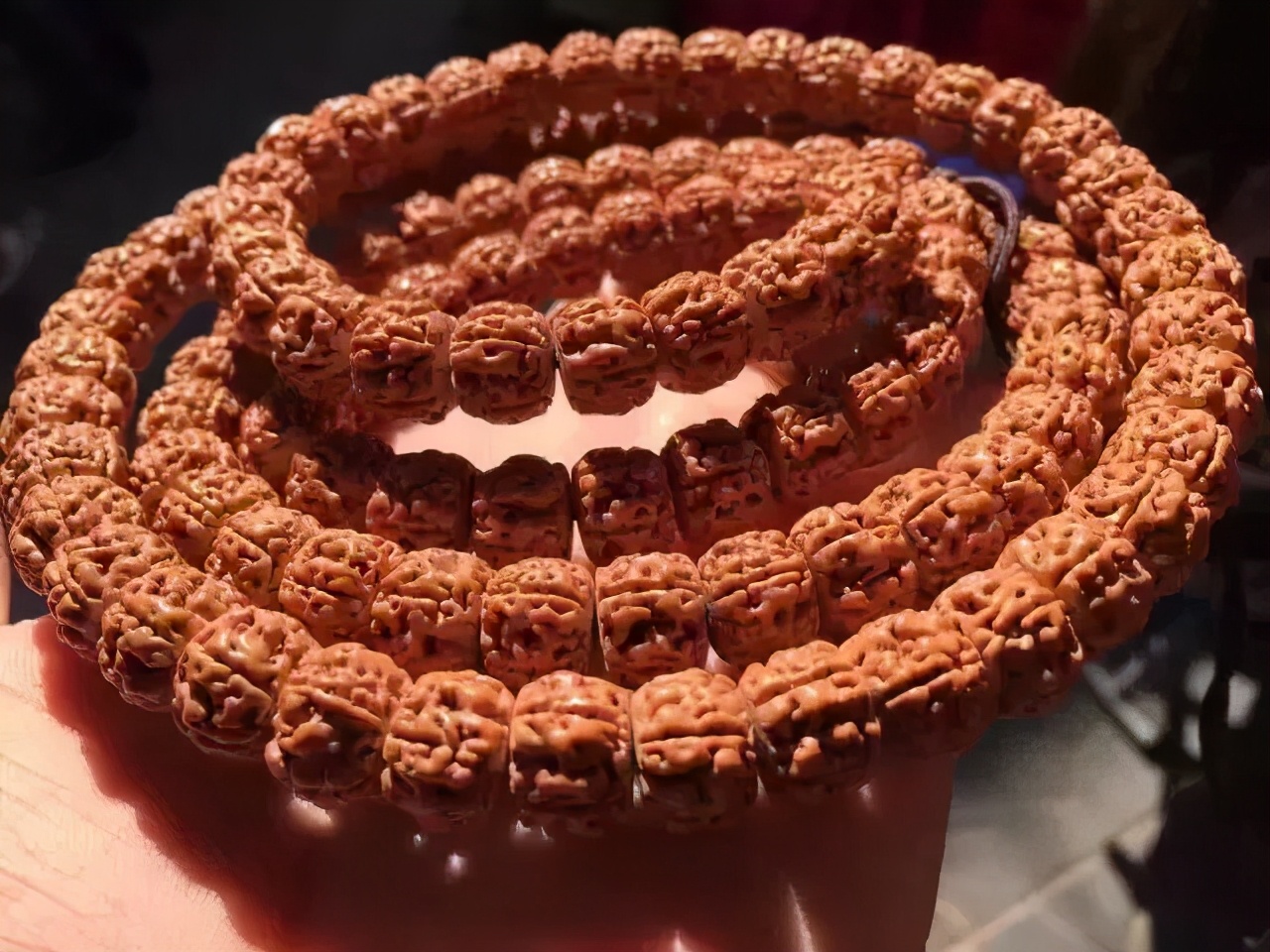 小金刚菩提子纹路图解大全,金刚菩提脖串什么纹路的好