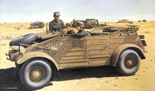 什么是甲壳虫房子,什么是甲壳虫