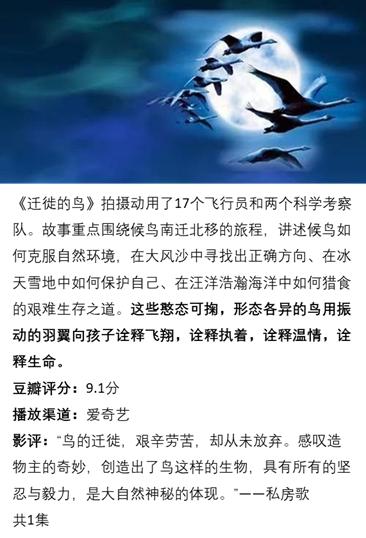 动物世界大自然野生动物纪录片,值得学生看的大自然经典纪录片