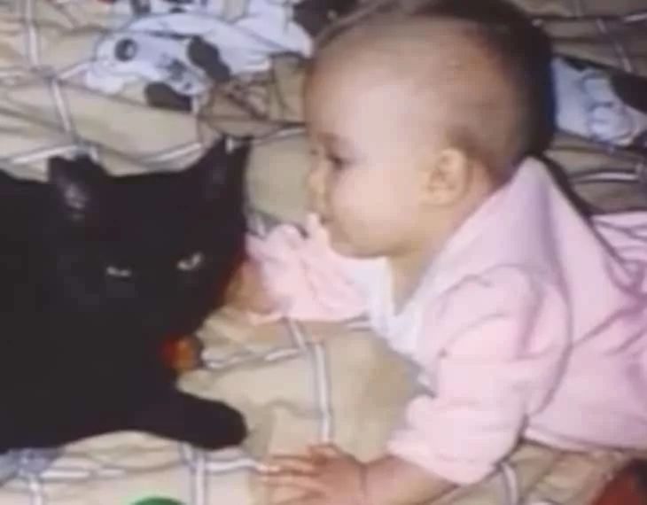 多次挑衅让猫气急败坏，然后说猫没良心，这样的人也配养猫？