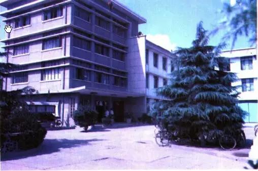 永寿美文|《小偷》文：山野农夫