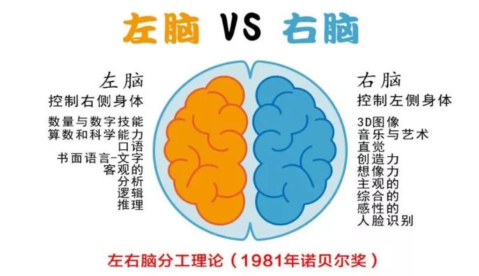 都说左撇子娃儿聪明是不是真的,为什么都说左撇子的人聪明